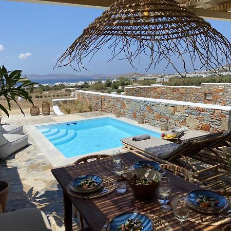 Villa Ypsilon Naxos - Luxury Holiday House With Amazing Sea View & Private Pool Agia Anna  Eksteriør billede
