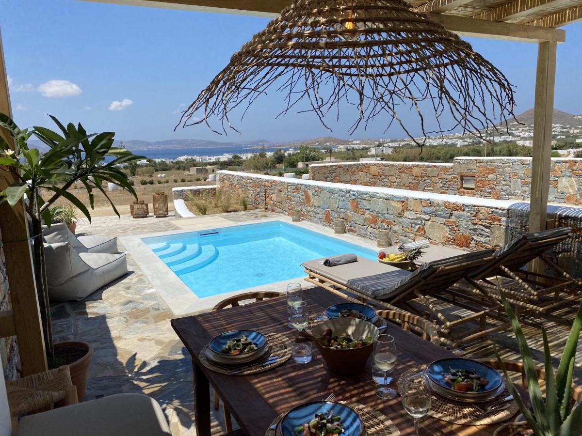 Villa Ypsilon Naxos - Luxury Holiday House With Amazing Sea View & Private Pool Agia Anna  Eksteriør billede
