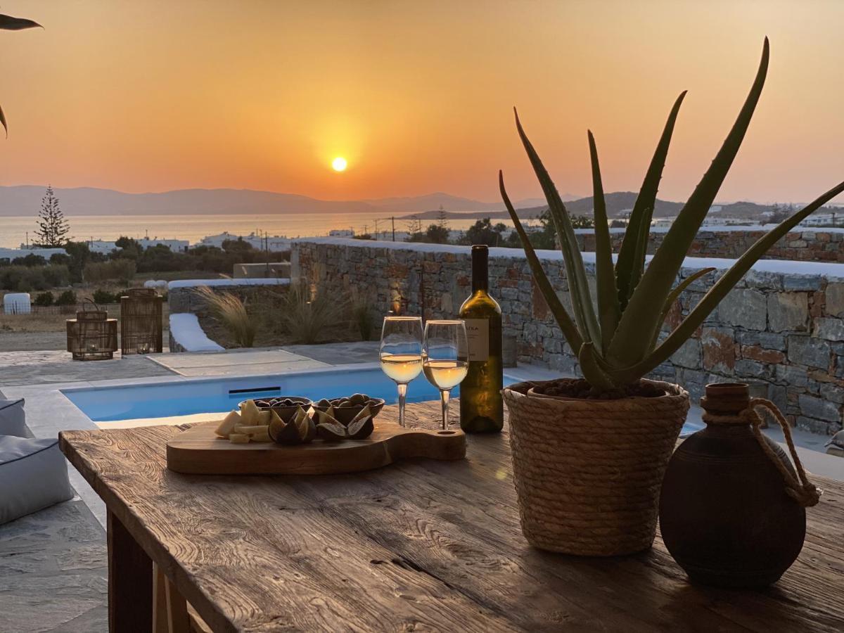 Villa Ypsilon Naxos - Luxury Holiday House With Amazing Sea View & Private Pool Agia Anna  Eksteriør billede