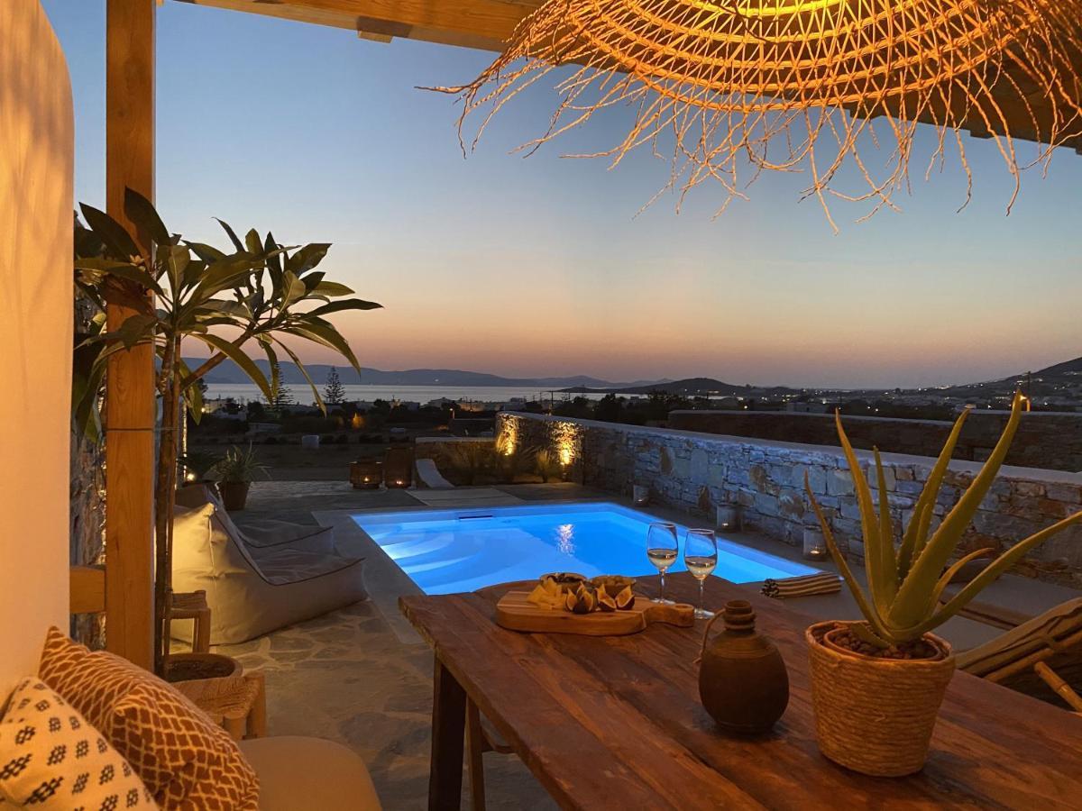 Villa Ypsilon Naxos - Luxury Holiday House With Amazing Sea View & Private Pool Agia Anna  Eksteriør billede