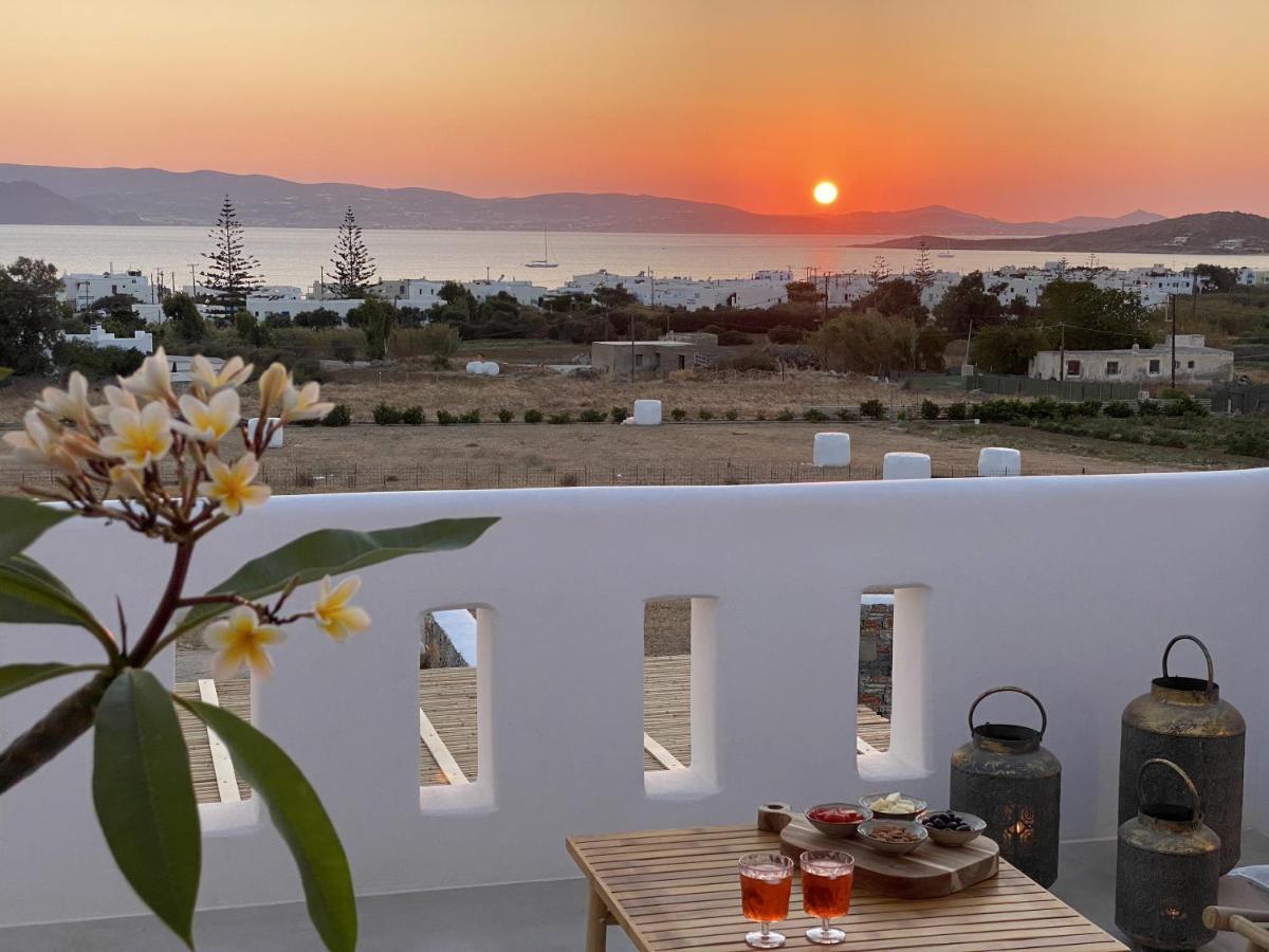 Villa Ypsilon Naxos - Luxury Holiday House With Amazing Sea View & Private Pool Agia Anna  Eksteriør billede